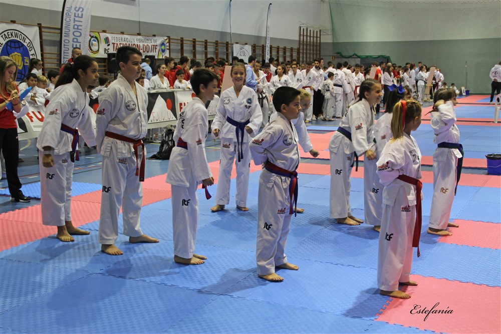 Copa Seul 2018 (351).jpg